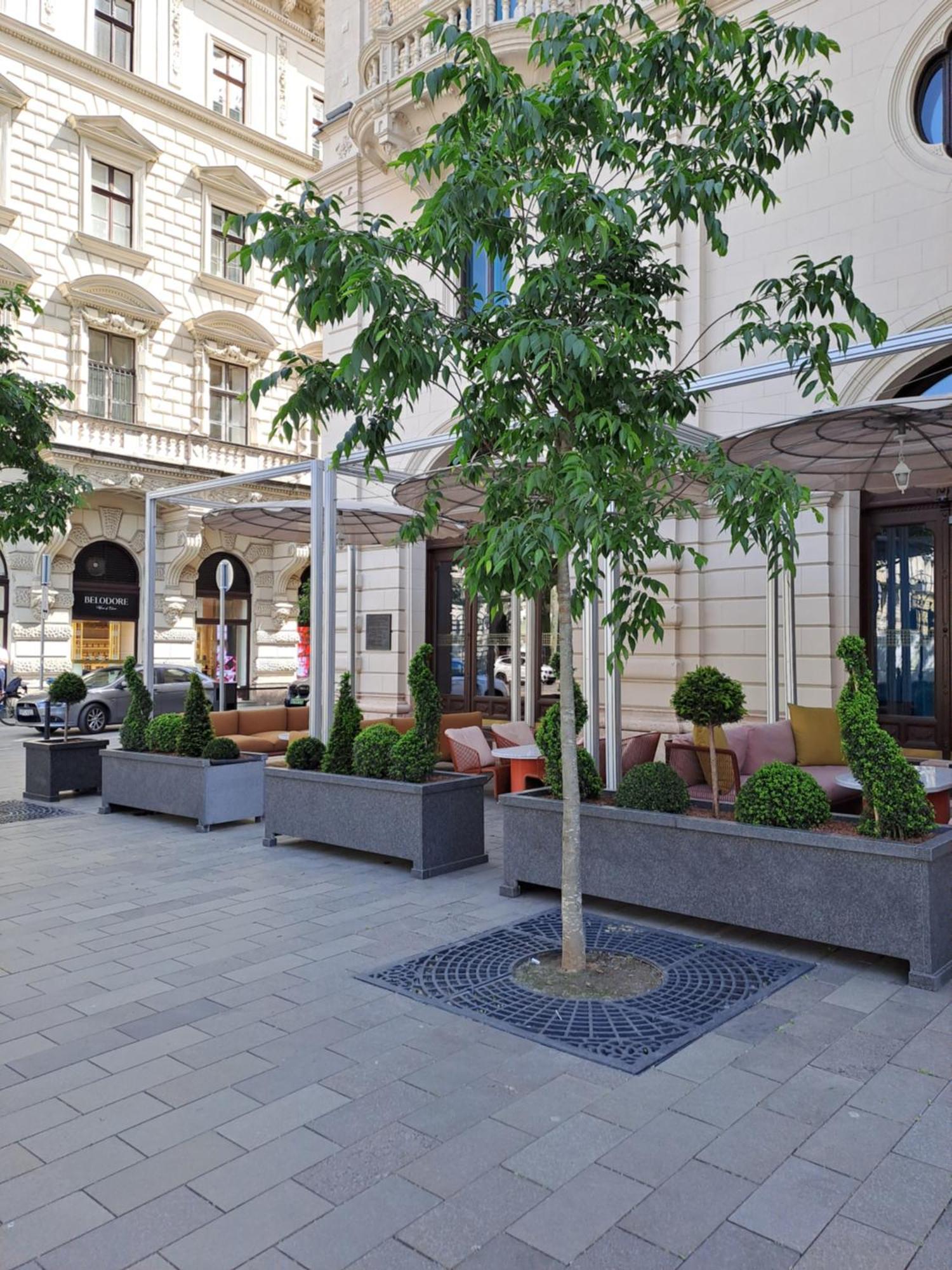 Cute Downtown Apartment Βουδαπέστη Εξωτερικό φωτογραφία